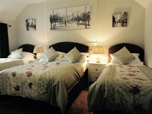 Room 5 Family Room - Sleeps 4